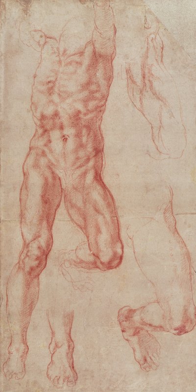 Study of a male nude, stretching upwards by Michelangelo Buonarroti